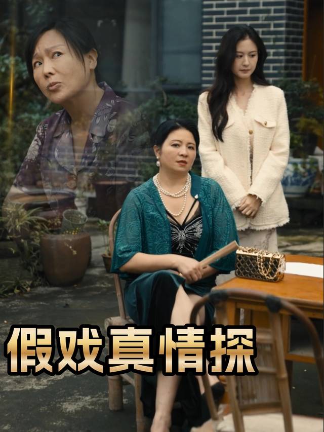 假戏真情探封面