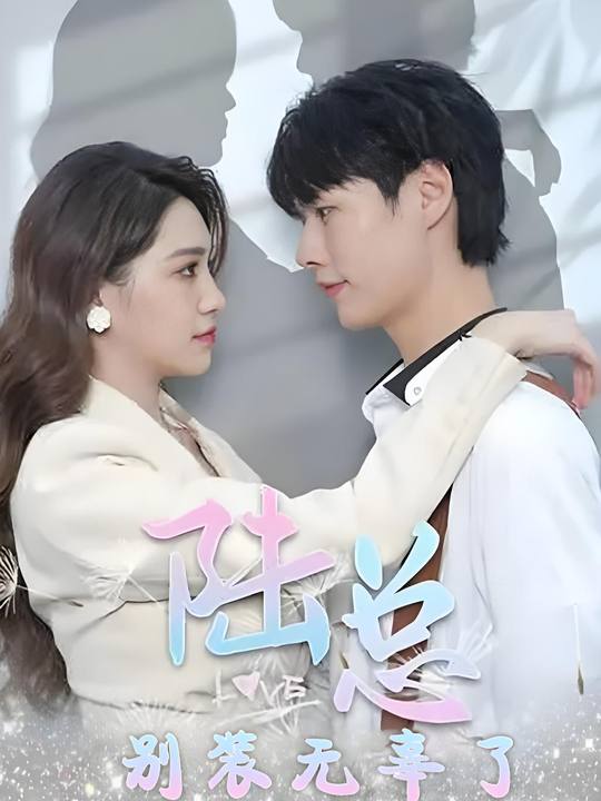 陆总,别装无辜了封面