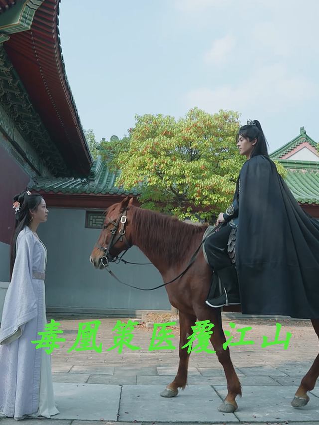 毒凰策医覆江山封面