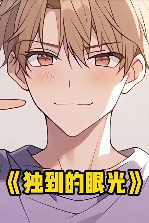 独到的眼光封面