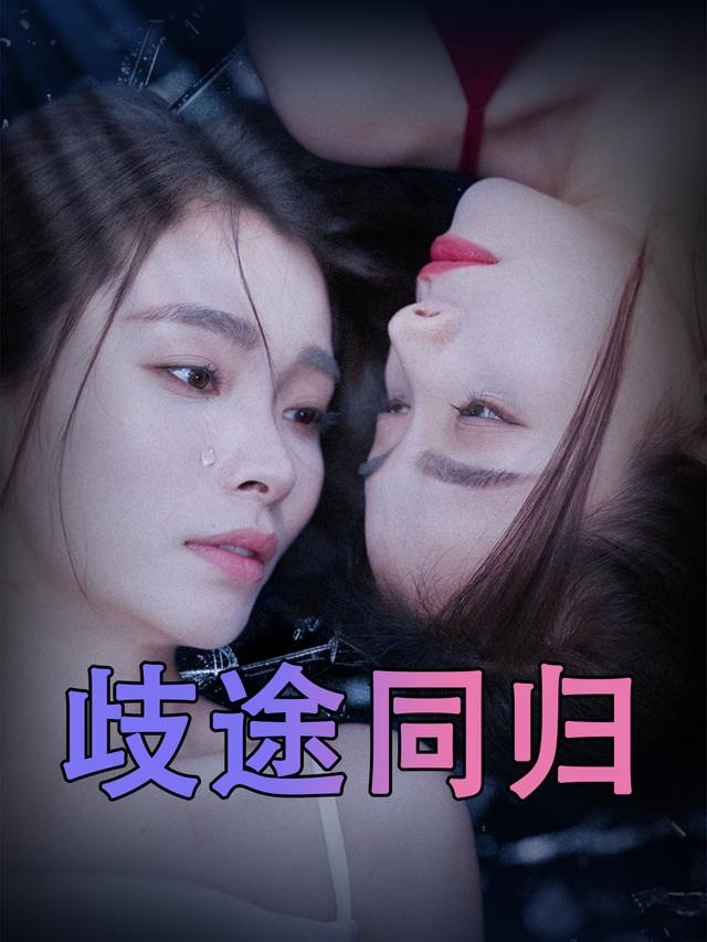 歧途同归封面