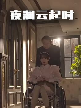 夜澜云起时封面