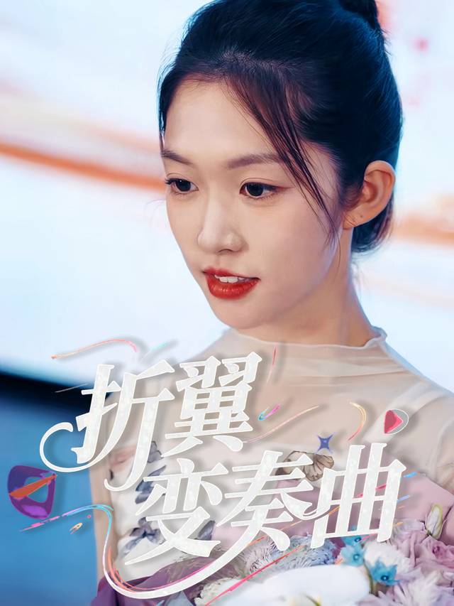 折翼变奏曲封面
