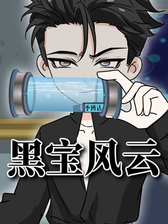 黑宝风云封面