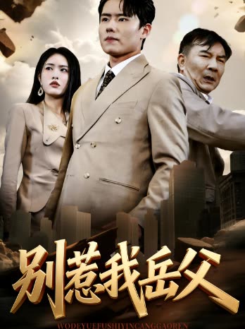 别惹我岳父封面