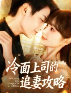 冷面上司的追妻攻略封面