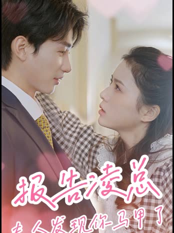 报告凌总,夫人发现你马甲了封面