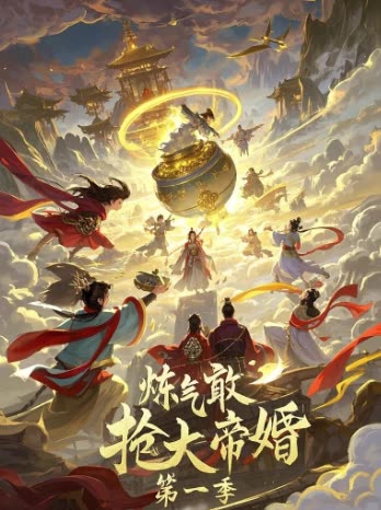 炼气敢抢大帝婚第一季封面