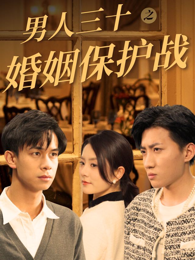 男人三十之婚姻保护战封面