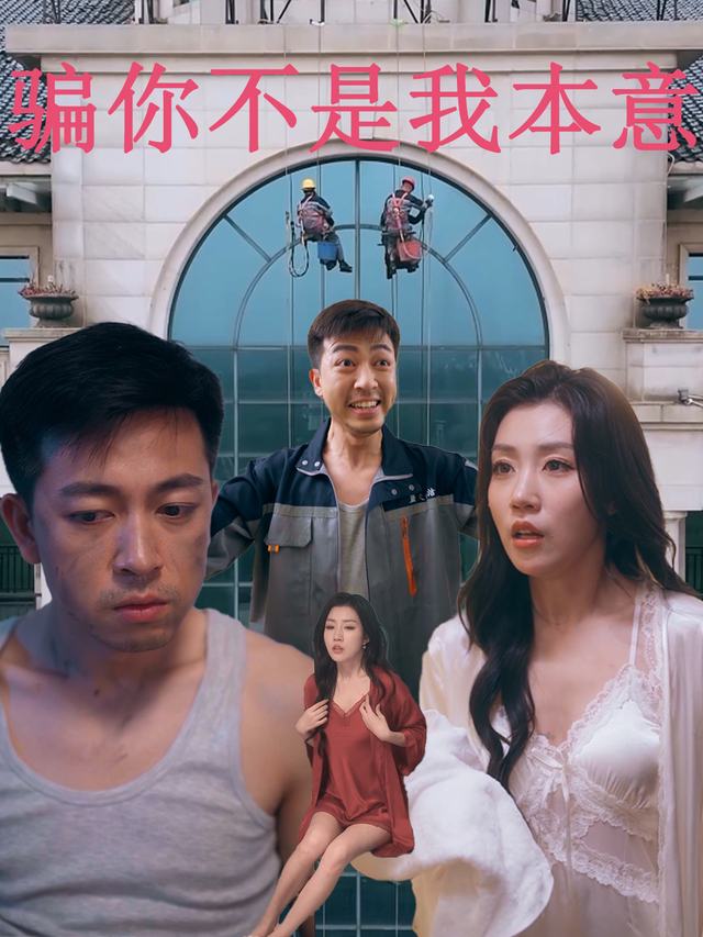 骗你不是我本意封面
