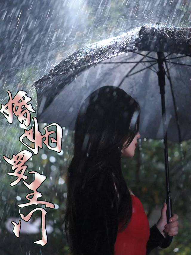 婚姻罗生门封面