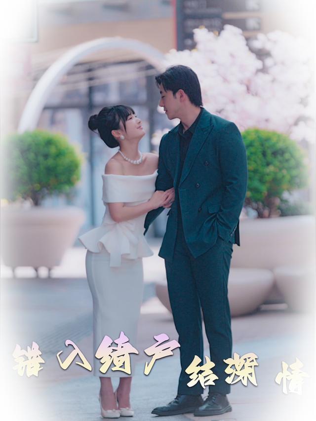 错入绮户结深情封面