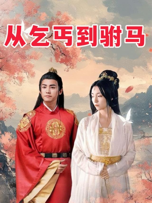 从乞丐到驸马封面