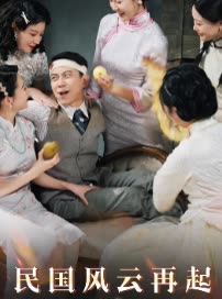 民国风云再起封面