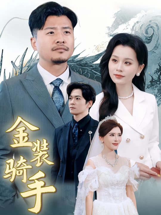金装骑手封面