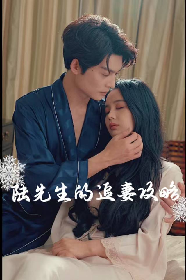 陆先生的追妻攻略封面