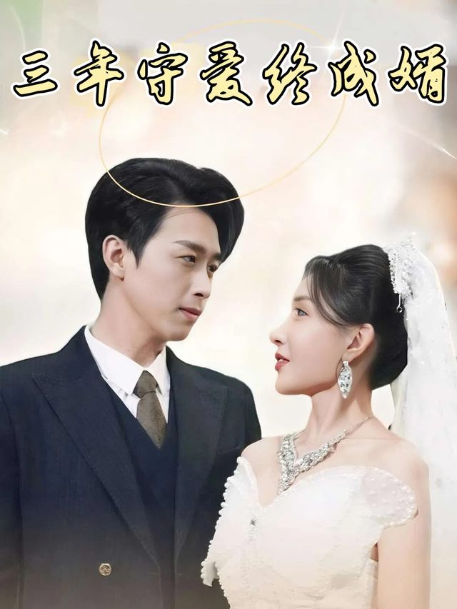 三年守爱终成婿封面