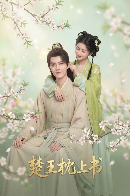 楚王枕上书封面