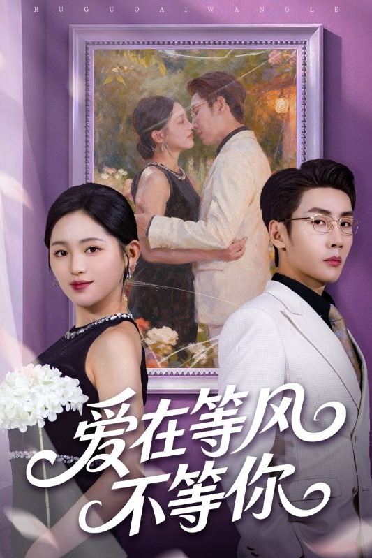 爱在等风不等你封面