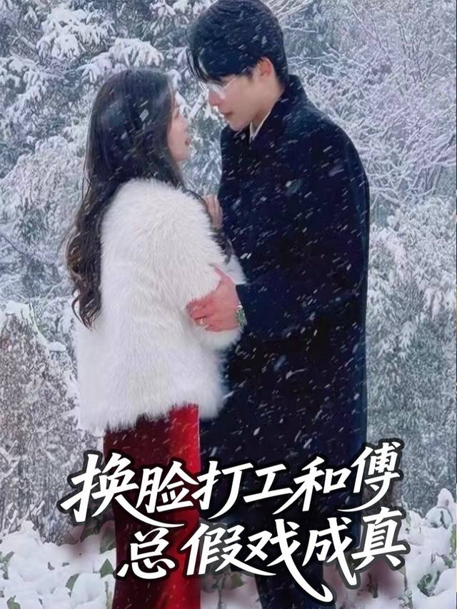 换脸打工和傅总假戏成真封面