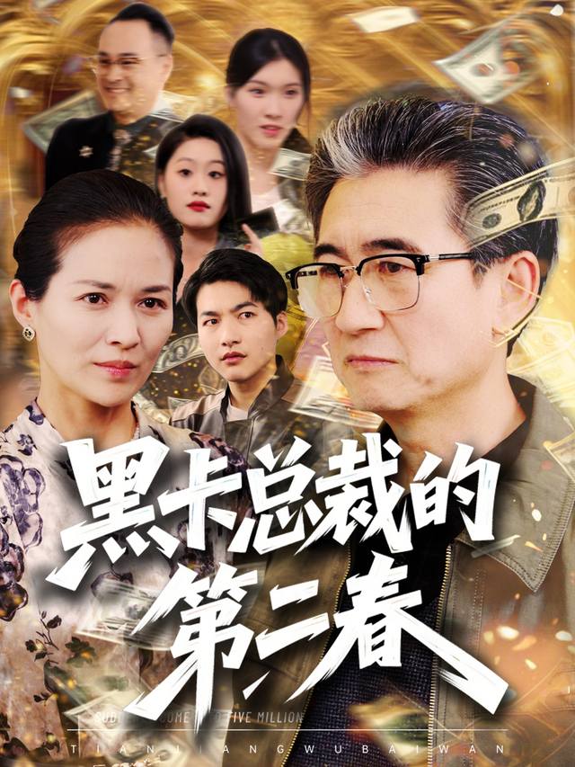 黑卡总裁的第二春封面