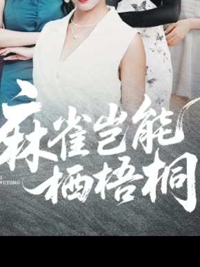 麻雀岂能栖梧桐封面