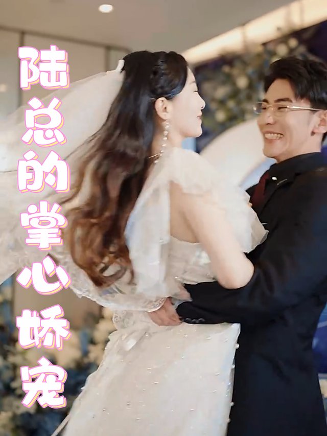 陆总的掌心娇宠封面