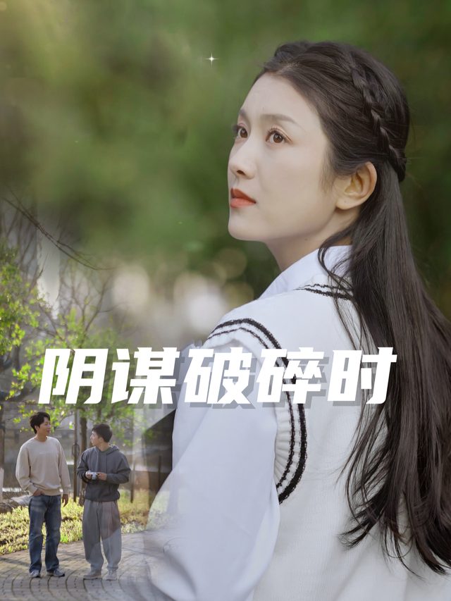 阴谋破碎时封面