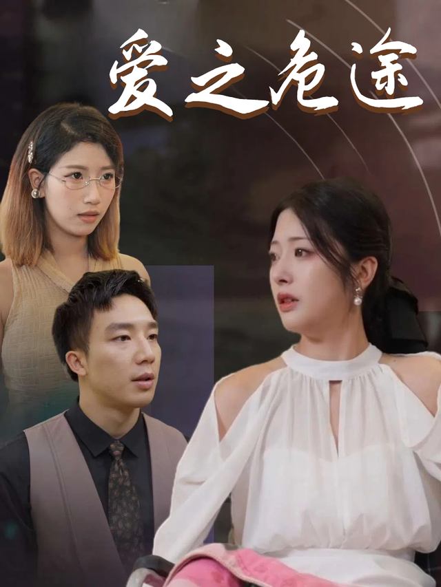 爱之危途封面