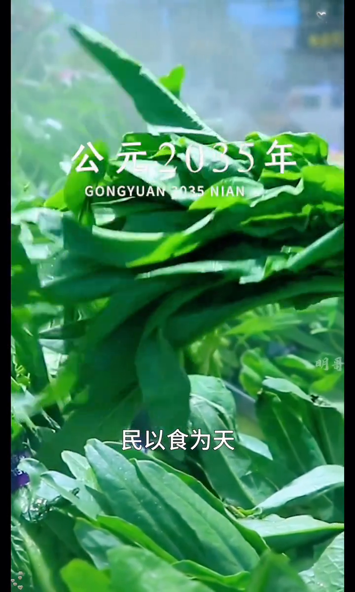 踏梦逐爱谣封面