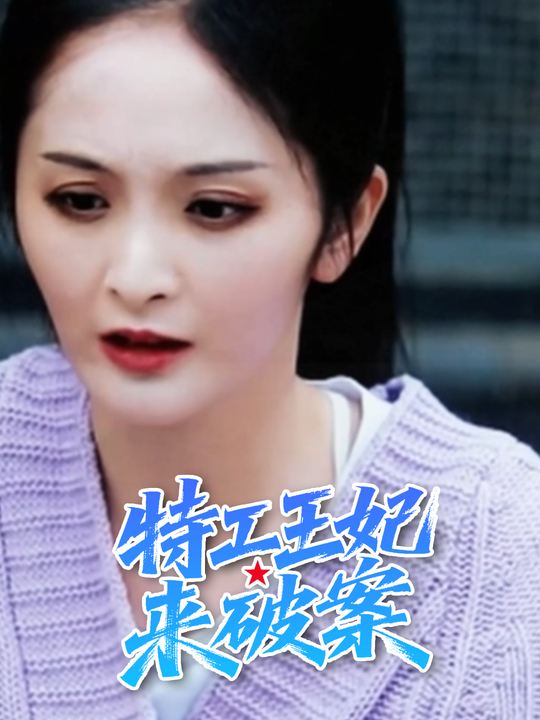特工王妃来破案封面