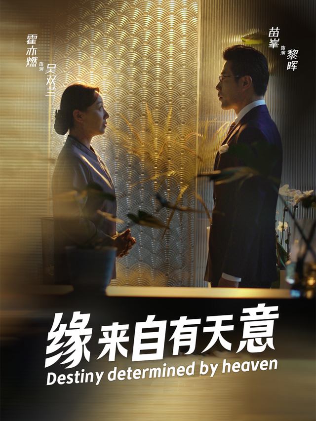 缘来自有天意封面