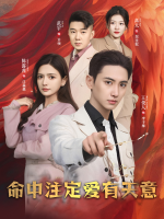 命中注定爱有天意封面
