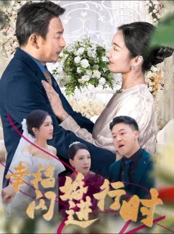 幸福闪婚进行时封面