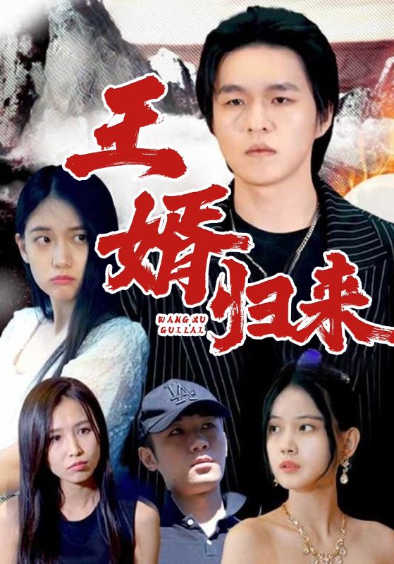 王婿归来封面