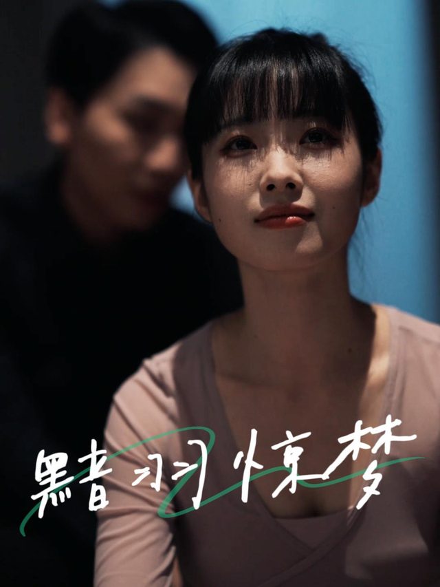 黯羽惊梦封面