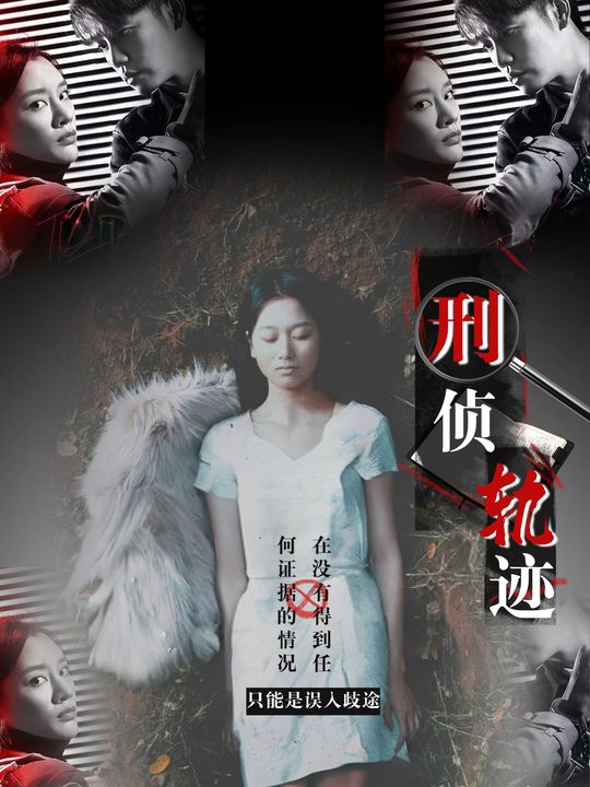 刑侦轨迹封面