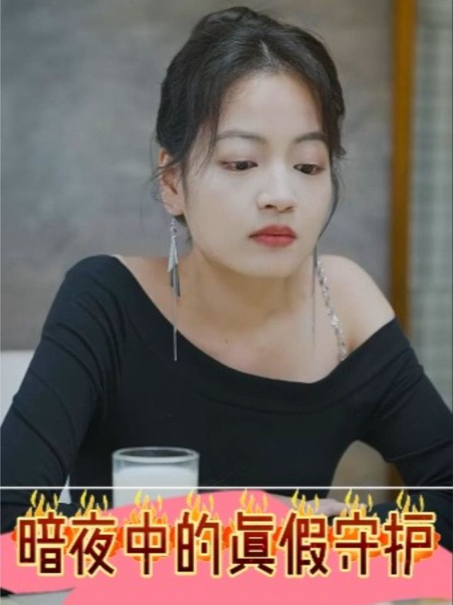 暗夜中的真假守护封面