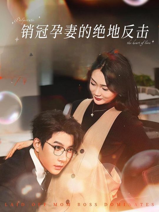销冠孕妻的绝地反击封面