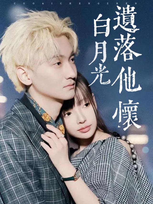 白月光遗落他怀封面