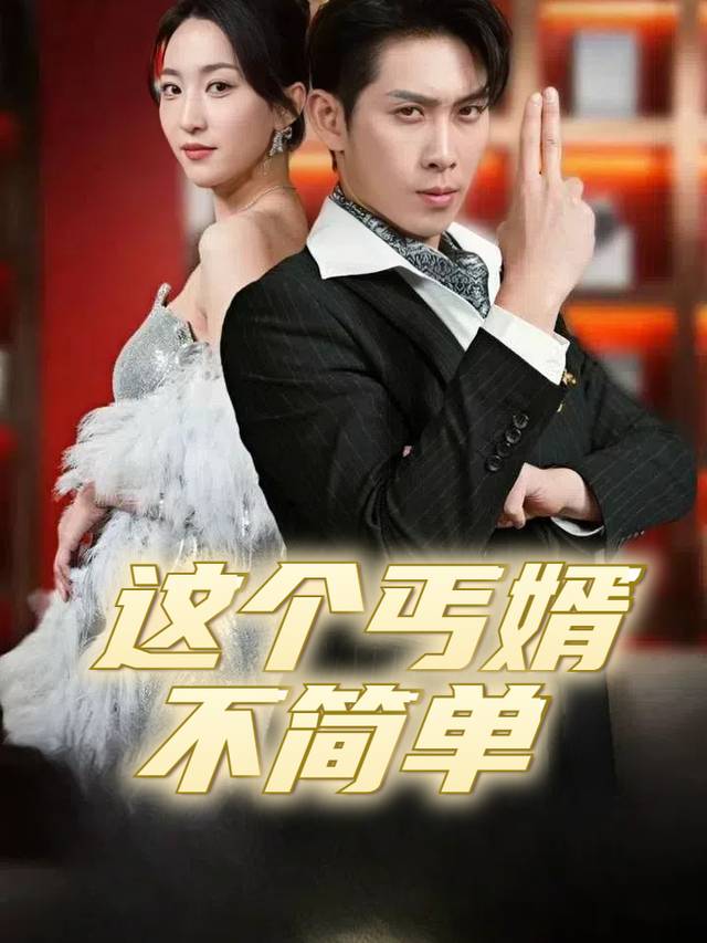 这个丐婿不简单封面