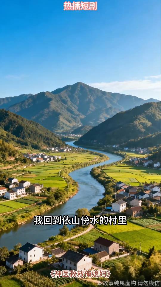 神医救救俺媳妇封面