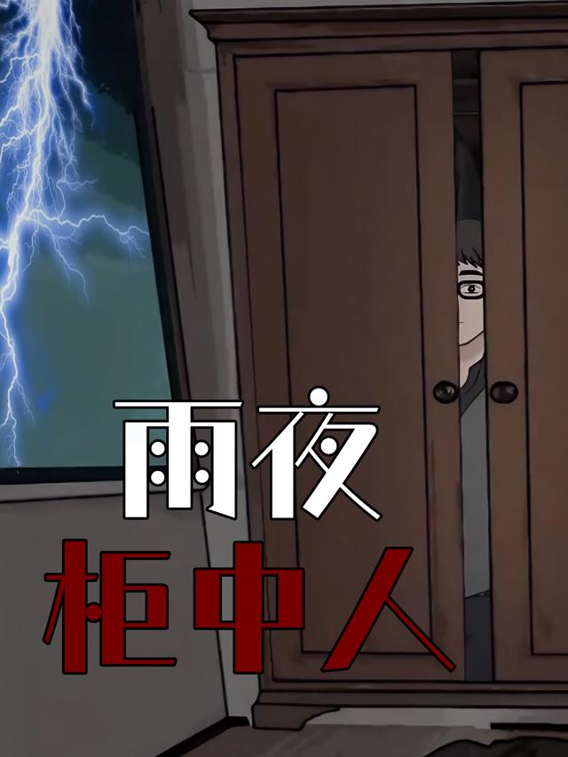 雨夜柜中人封面