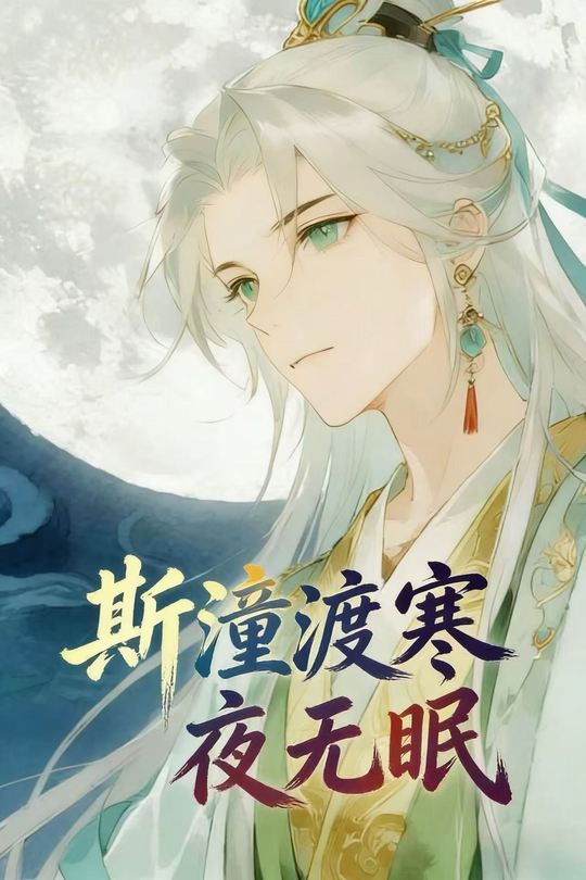 斯潼渡寒夜无眠封面