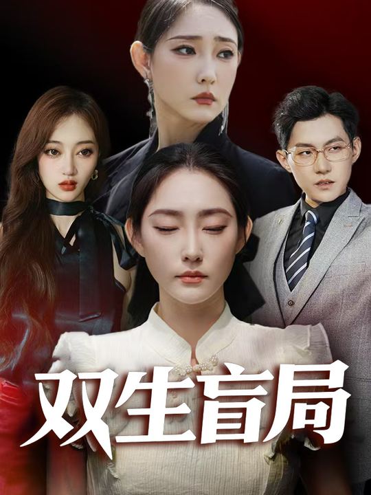 双生盲局封面