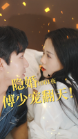 隐婚1001夜傅少宠翻天封面