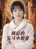 傅总的实习小娇妻封面