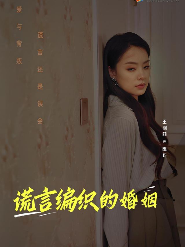 谎言编织的婚姻封面
