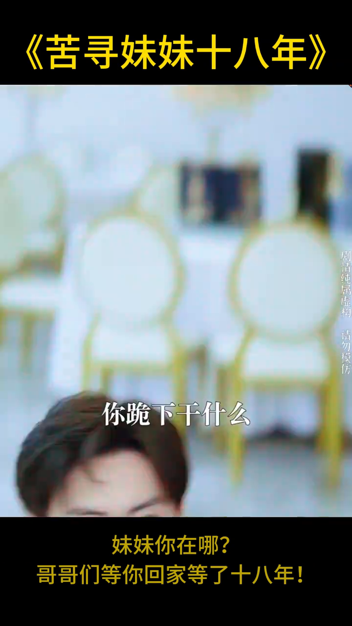 苦寻妹妹十八年封面