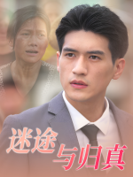 迷途与归真封面